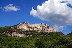 Senecarock - West Virginia - ForestWander