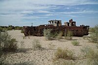 Ship in the Aral Sea, Mo‘ynoq