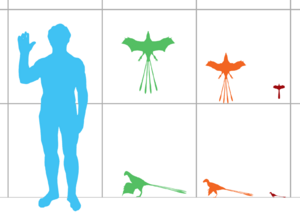 Size comparison of scansoriopterygid dinosaurs