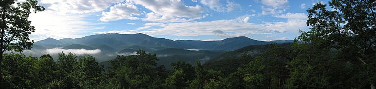 Smoky Mtn View