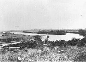 StateLibQld 1 395677 Burnett River, Bundaberg, Queensland, 1909