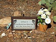 Superior-Cemetery-Pinal Cemetery-Ceilia Ann Blaylock Earp