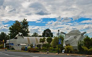 The dog and sheep buildings, Tirau, Waikato, New Zealand, 3 April 2008
