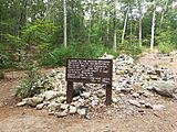 Thoreau Quote Sign, Walden Pond