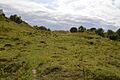 Totternhoe Knolls 6