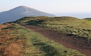 Tumuli on Pinnacle Hill - geograph.org.uk - 506960