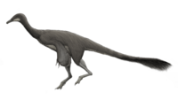 Tyrannomimus fukuiensis.png