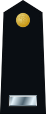 US Marine O2 shoulderboard dress