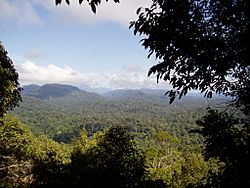 View from Bukit Terisek