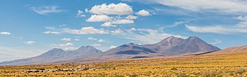 Volcán Lejía, Chile, 2016-02-08, DD 47.jpg