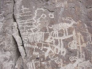 White River Narrows Petroglyph Detail