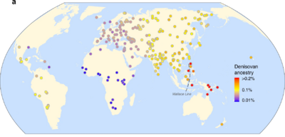 Yuan (2021) Fig. 3- Archaic introgression in modern humans across the world (Denisovan only)