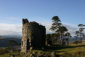 'Castle' near Drynie Farm - geograph.org.uk - 124245