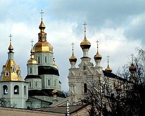 Харьков. Покровский собор и архиерейский дом