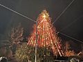 2021 Christmas tree lighting, Ferndale, California - Sarah Stierch 02