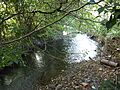 Afon Clun yn Rhiwsaeson