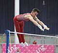 Austrian Future Cup 2018-11-24 Group 3 Rotation 6 Horizontal bar (Martin Rulsch) 172