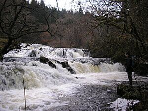 Avich Falls - geograph.org.uk - 1610525.jpg