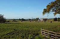 Balgray Mill - geograph.org.uk - 257189