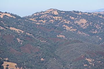 Black Mountain (Milpitas, California) viewed from Mount Hamilton, Aug 2019 (cropped).jpg