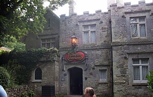 Blackgng Chine Rumpus Mansion