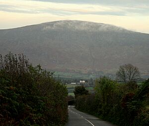 Blackstairs3