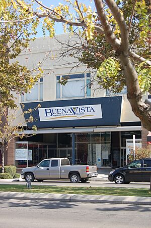 Buena Vista Museum Exterior