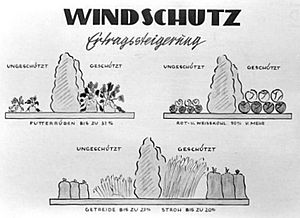 Bundesarchiv Bild 183-15117-0005, Infografik, Windschutz, Ertragssteigerung