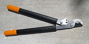 Bypass loppers pruners