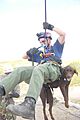 CBT Canine Enforcement Program