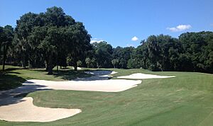 Callawassie Island Magnolia Three . . . Par 5 . . . Tom Fazio design