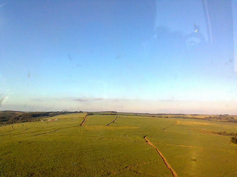 Image Cana Usina Tapejara, Paraná panoramio