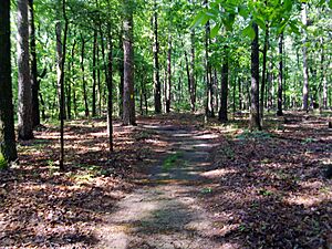 Cane Creek State Park 011