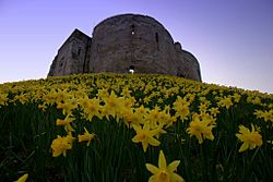 Clifford's Tower (5558502612)