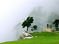Cloudy Triund, above Mcleod Ganj, Himachal Pradesh