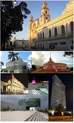Above, from left to right: San Ildefonso Cathedral, the Canton Palace, the Monument to the Fatherland, the Municipal Palace, the Glorieta de la Paz, the Great Museum of the Mayan World and a view of the Country Towers.