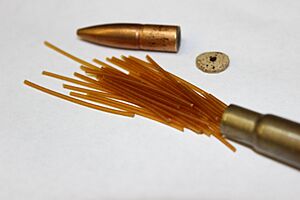 Cordite Filled Cartridge