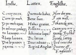 Elizabeth I's primer on Irish