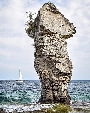 Flowerpost Island - 2017 (36047685603)