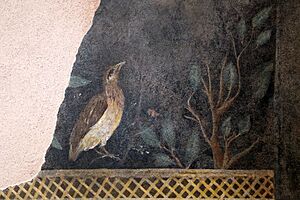 Frammento di affresco con decorazone di giardino, da piazza mattei a formia, I secolo dc ca. 02 uccello