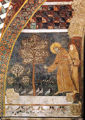 Francis preaching the birds.fresco. master of st francis. Assisi