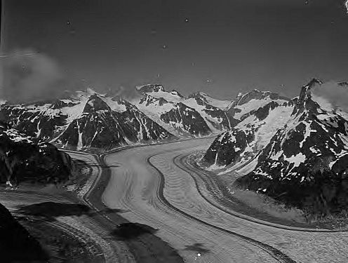 Gilkey Glacier, valley glacier with banded ogives and dark moraines, 1955 (GLACIERS 6160)