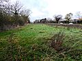 Goss Meadows 4