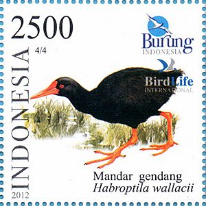 Habroptila wallacii 2012 Indonesia stamp