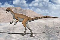 Haplocheirus NT.jpg