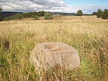 Hollowed-out Stone near Pilsley (geograph 2509794).jpg