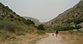 Israel National Trail east Wadi Dishon