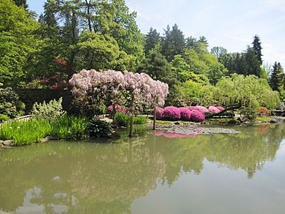 Japanese garden water 6