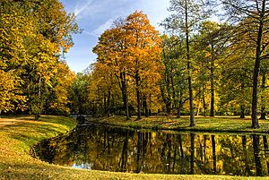 Jesień w łazienkach królewskich - panoramio