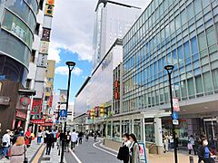 Konyacho Shopping Street (Gofukucho Dori) 2